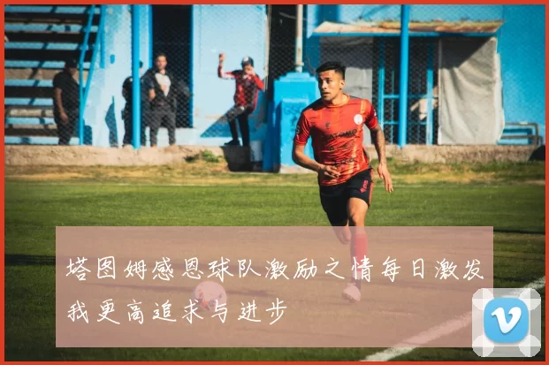 塔图姆感恩球队激励之情每日激发我更高追求与进步